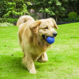 Pet bite-resistant interactive throwing dog toys with big and small dogs sound grinding toy (Color: 2pces blue, size: Large 80)